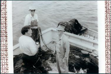This image shows three men standing in a boat all talking and smiling with each other.  The man at the rear is holding part of a fishing net.  He is wearing a white shirt, overalls and rubber boots.  He is wearing a hat and sun glasses.  The man on the left has his back to the camera.  He is wearing a white shirt, dark trousers and thigh length rubber boots.  He is wearing spectacles, has dark curly hair and is holding a glass in his right hand.  The man on the right is wearing a check shirt, cardigan and light coloured trousers.  He is wearing a hat and dark rimmed spectacles. There are fishing nets all over the bottom of the boat and wooden boxes can be seen on the far right-hand side of the image.  Another small wooden boat is alongside.  There are fish in the bottom and a pile of nets.  Water is in the background. 