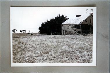 This image shows an old wooden shed standing in a grassy paddock.  The shed is in very bad condition.  A lot of the boards are missing as well as a sheet of iron from the roof.  Large pine trees can be seen behind the shed and some small trees can be seen closer to the shoreline on the left-hand side of the image.  Grass is in the foreground and water in the background.  