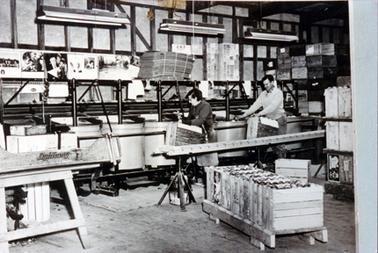 This image shows a man and a woman packing apples from an apple grader in a shed.  They are taking the apples and placing them into boxes.  Boxes of apples are on the floor in the foreground and other boxes of apples are on a pallet on the right-hand side of the image.  Empty boxes are pilled up on a shelf at the back on the right-hand side.  Photographs line the wall on the left-hand side and three large overhead lights can be seen.  