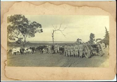 This image shows a group of soldiers standing beside a cannon with their backs to the camera.  The cannon is mounted on a field carriage.  Eight bullocks are standing in front of the limber.  They are on a foreshore where several small boats can be seen and an island in the far distance.  A jetty and boat shed can be seen on the left-hand side of the image and buildings can be seen on the right-hand side.  A large gum tree is on the left and a dead tree is in the middle of the image.  Several trees, including a tall pine is on the right-hand side.  