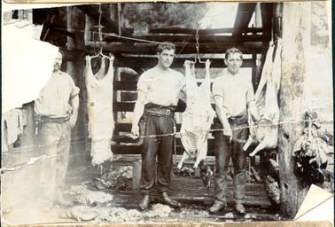 This image shows a shed made of rough timber with three men standing facing the camera with an animal carcass hanging from hooks between each man.  The man on the left-hand side of the photograph is standing with hand on hip and part of his face and shoulder has been torn away.  All men have shirt sleeves rolled up and are wearing wide leather belts with ‘knife holsters’ attached.  The man on the right-hand side has a cigarette in his mouth.  Trees can be seen in the background.  