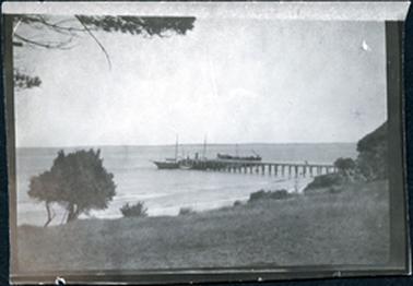 This image shows a boat moored at the end of a long jetty.  The foreshore is in the foreground which shows grass, a small tree on the left-hand side of the image and several shrubs.  Part of a large tree can be seen in the extreme left of the image.  There appears to be more than one boat at the end of the jetty and several masts can be seen.  The water extends to the far horizon.  