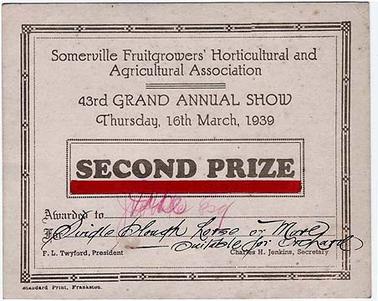 A second prize certificate awarded by the Somerville Fruitgrowers’  Horticultural and Agricultural Association at their 43rd Grand Annual Show on Thursday, 16th March, 1939 to J. White, F. L. Twyford, President, Charles H. Jenkins, Secretary. Printed by Standard Print, Frankston