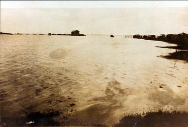 This image shows a bay and jetty with a line of fishing boats and a shed in the background.  There is a line of old model cars and people on the foreshore on the right-hand side of the image.  One old car appears to be “driving on the water”.  