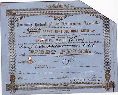 A first prize certificate awarded by the Somerville Horticultural and Fruitgrowers’ Association at their fifth Grand Horticultural Show on Thursday, March 16, 1899, under the patronage of Lord Brassey, Sir John Madden, Hons J. C. Campbell ..., S. S. Gault, secretary. Printer of certificate, W. Tomkins, Frankston. Exhibit and exhibiter have not been entered