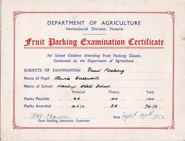 Certificate reads: “Department of Agriculture, Horticultural Division, Victoria. Fruit Packing Examination Certificate for school children attending fruit packing classes conducted by the Department of Agriculture. Subject of examination fruit packing, name of pupil Laurie [sic] Cushworth [sic], name of school Hastings State School” Marks are handwritten, examiner W.H. Harris, date Sept 29th 1952. On the back is written in ink “donated by Laurice Jiket nee Cusworth”