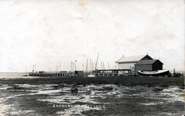 This image shows a pier jutting out into the water with mud flats in the foreground.  Two boat sheds can be seen with a boat up against the smaller shed which is in the foreground.  A man is standing looking at the boat.  Many boat masts can be seen behind the jetty.  Printed in white at the bottom of the image is: “SHEDS & PIER HASTINGS”.