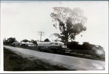 This image is of an articulated bus parked in a street.  “Peninsula Bus Lines” is written on the side of the bus. There is a large tree near the bus.  Behind the bus is a very tall electricity pole and behind that several houses can be seen.  