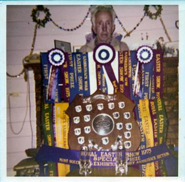 This image shows a man standing behind a big display of show ribbons, rosettes and a shield.  There is a timber tongue and groove wall behind him with garlands and wreaths handing on it.  The printing on all the ribbons show that they come from the Royal Easter Show.  The man appears to be elderly and has grey, receding hair.  