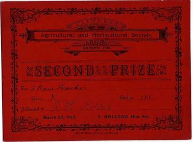 Certificate reads: “Flinders Agricultural and Horticultural Society, season 1910. Second prize. For 6 Rome Beauties, Class K, Section 188, awarded to R. H. Morris, March 30, 1910. T. Holland, Hon. Sec. Swords Bros., Printers, Dandenong”