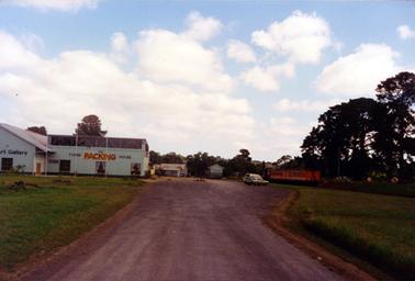 This image shows a wide road in the centre with several sheds on the left-hand side and at the rear.  Two motor vehicles are parked on the right-hand side and two railway carriages are in front of them.  Large pine trees are on the far right-hand side.  Smaller trees are in the background.  Green lawn is on either side of the road.  Written on the large shed is: “Art Gallery The Tyabb Packing House”.  White puffy clouds cover most of the blue sky.  