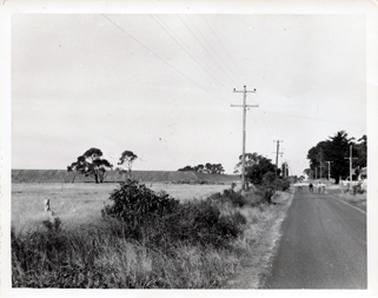 This image is of the same paddock as P119.1, but taken further to the right.  There is a large earth wall, which appears to be a dam wall in the background on the left-hand side of the image.  A road is on the right-hand side with several telegraph poles on either side of the road.  There are very large trees and houses beside the road on the right-hand side and small trees and shrubs line the left-hand side of the road.  Four people are riding bicycles towards the camera.  Tall gum trees can be seen near the wall and a tree stump is in the paddock on the left-hand side of the image.  