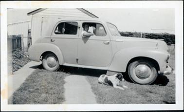 This image shows an old model sedan motor car, four-door, parked across a driveway.  A male driver is sitting behind the wheel with his elbow resting outside the open window.  A timber garage is behind the car and a black and white dog is resting on the lawn beside the car.  Part of a timber fence can be seen on the left-hand side along with a wire gate.  A small shed is behind the gate.  A line of trees can be seen in the background on the right-hand side of the image.  