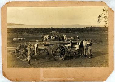 This image shows a large gun on a field carriage and limber beside a foreshore.  Seven soldiers are alongside the barrel at the front and two soldiers are standing to attention at the back of the barrel.  Another soldier is attending to a small group of bullocks standing between the gun and the foreshore.  The foreshore is lined with mangroves and islands can be seen in the background.  Tree stumps can be seen on either side of the cattle.  These soldiers are probably preparing the gun to be moved and the cattle are probably waiting to be hitched to the limber.  The size of the copy measures L10 x W15.