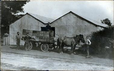 This image shows a four-wheeled cart drawn by two horses and loaded with boxes.  A man is sitting on top of the boxes holding the reins.  Another man with a white beard and a pipe in his mouth is standing at the front of the horses.  A third man is standing beside the back wheel of the cart.  Part of a shed can be seen behind them. This is an identical image to P233 except that it has been cut down around all sides.   