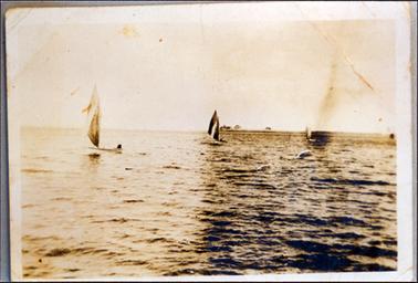This image shows several sailing boats on the water with land in the far distance.  There is a chop on the water.  
