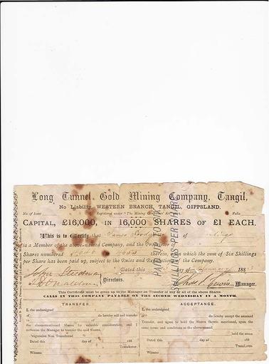A share certificate issued by Long Tunnel Gold Mining Company, Tangil, Western Branch, Tangil, Gippsland to James Hodgins of Hastings for ten shares numbered 4646 to 4655. John Steedman and T. Donaldson, directors, Chas. L. Lewis, Manager. Certificate is dated 23rd of January 1883