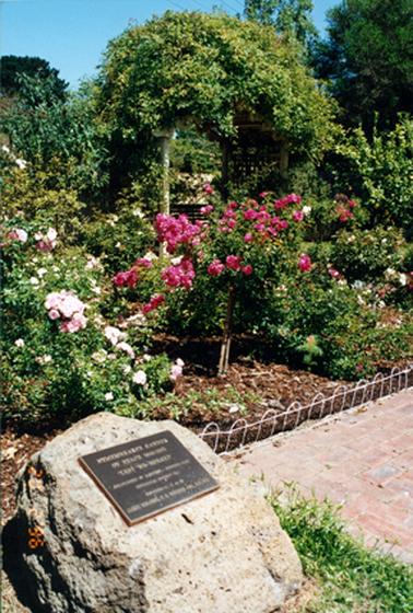 These images show rose gardens and a plaque set into a large stone with a rose garden behind it.  The roses are light and dark pink.  There is a trellis covered in a large climbing rose with a seat under it. Large trees can be seen behind the garden.  Part of a brick pathway can be seen on the right-hand side with a wire garden edge beside the path.  The date 20.2.’96 appears at the bottom left-hand side of the photograph.