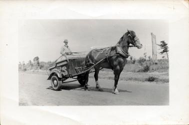This image shows a horse and cart in the middle of the road.  A man is standing in the back of the cart holding onto the reins.  He is wearing a hat and coat.  The cart has rubber tyres and has large letters painted on the side and smaller letters across the front at the top.  A grassed paddock with small trees can be seen in the background.  A large sign is in the paddock on the far right-hand side of the image.  