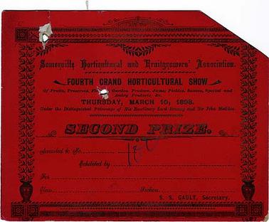 A second prize certificate awarded by the Somerville Horticultural and Fruitgrowers’ Association at their fourth Grand Horticultural Show on Thursday, March 10, 1898, under the patronage of Lord Brassey and Sir John Madden, S. S. Gault, secretary. Printer of certificate, W. Tomkins, Frankston. Exhibit and exhibiter have not been entered