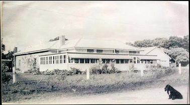 This image shows the Hastings & District Bush Nursing Hospital from the front, a single story brick building with a shaded verandah across the front facade and around part of the right hand side. A smaller building is on the left hand side. There is a post and barbed wire fence in front of the building and a gravel road in the foreground. A black dog is sitting in the road.