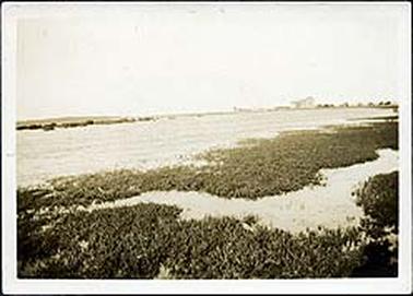 This image depicts the Hastings foreshore taken from the corner of Church Street looking south to the jetty.  A fishing shed can be seen in the background. On the back of the photo printed in ink is “HASTINGS FORESHORE FROM CR: OF CHURCH ST LOOKING SOUTH TO THE JETTY 1924”