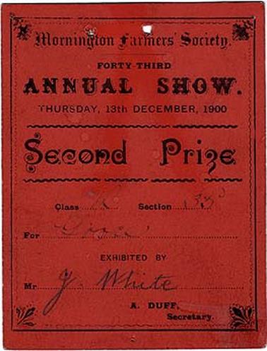 A second prize certificate awarded by the Mornington Farmers’ Society at their forty-third Annual Show on Thursday, 13th December, 1900 to Mr J. White. A. Duff, Secretary