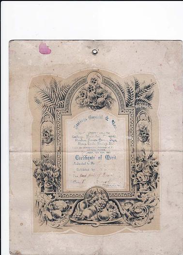 A certificate of merit awarded by the Hastings Carnival & Show, in aid of the Public Library, Hastings, under the patronage of Sir John and Lady Madden, on Saturday, 15th May, 1897. Hon. Secretary, D. J. Ham. Names of the exhibit and exhibiter have been worn off.