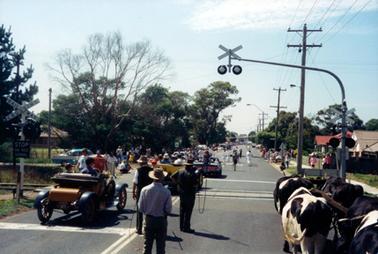 This image shows a street parade, with the photo taken from the back of the participants.  Part of a bullock team can be seen on the right-hand side. Three men, carrying whips, are walking beside the team, down the middle of the street.  Three vintage cars can be seen and a navy band is leading the parade.  A banner is behind the band.  People line both sides of the street.  The parade is crossing a railway line which has railway crossing lights and signals.  Electricity poles and wires line the street on the right-hand side.  Trees line both sides of the street. 