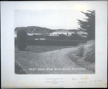 This image shows a distant photograph of a bungalow building in a pine tree setting surrounded by tall hedges.  A road with tracks is in the foreground.  A large clump of pampas grass is on the right-hand side of the image and part of a large pine tree is behind the grass.  A  small, neatly trimmed tree is on the left-hand side.  Part of a bay and water is on the top, left-hand side of the image and undulating hills covered in shrubs are in the background.  Printed in white at the bottom of the image is: “WEST HEAD FROM BUNGALOW FLINDERS”.  Printed on the mounting at the bottom is: “St Andrews Flinders about 1910 Boarding House run by Da Maxwell”.  To the right of that is written: “Now 24 cm reduce to 15.5 cm”.