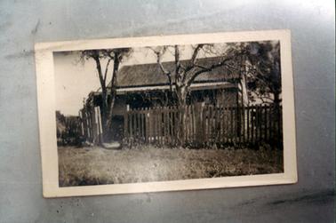 This image shows a small timber house with a sloping galvanised iron roof.  A small verandah is across the front.  The house sits behind a wood paling fence with a small gate, which is open.  Three tall trees stand between the house and the fence and untidy grass is in the foreground.   