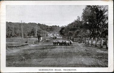 This image shows a wide dirt country road with a group of sheep standing in the centre.  A man, dressed in dark clothing, sitting on a white horse, is to the left of the sheep.  A dog is lying on the grass nearby.  A group of people can be seen on the road in the background.  A line of fence posts run along the right-hand side of the road and several tall poles run along the left-hand side of the road.  Trees are on  either side of the road and in the background.  Printed on the border the bottom is: “Mornington Road, Frankston.”.