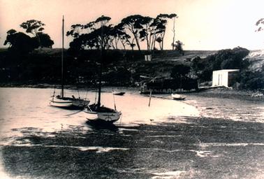This image shows four boats anchored in a bay.  The two fishing boats in the foreground have tall masts.  A pole structure with fishing nets spread across it, is on the foreshore.  A small shed is to the right of the nets. The land rises up from the bay and has tall trees scattered across it.  The words “Prima Donna Hastings” is printed across the stern of the boat in the foreground.  