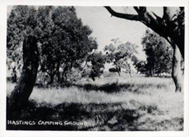 This image shows a paddock with untidy grass and large trees.  A tree stump is in the foreground on the left-hand side.  Printed across the bottom of the image is: “Hastings Camping Ground”.