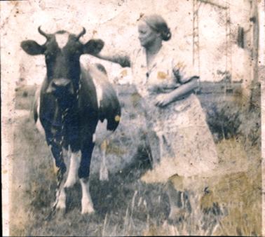 This badly marked image shows a woman leaning towards a cow with her right hand behind the cow’s head.  She is dressed in a light coloured, patterned dress and her hair is pulled back.  The black and white cow is standing facing the camera.  The cow has a rope around her neck which is handing down on the ground.  They are standing on grass.  