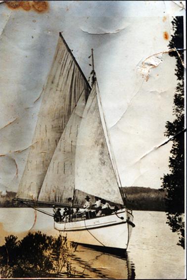This image shows a white wooden boat with three sails, coming in to the shore.  There is a group of about seven men aboard.  They are all wearing hats.  The men at the front of the boat are wearing long-sleeved white shirts.  Mangroves are in the water on the left-hand side and part of a tall tree can be seen on the right-hand side.  Land is in the background.  