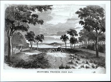 At the centre of this image is a bullock team, cart and a man with a whip.  A timber house with a four post verandah is on the left and many houses can be seen behind the trees on the right hand side.  Several tall trees line the rough road and water, boats and islands are in the background.  A jetty juts out into the water in front of the township.  Printed across the bottom of the photograph is: “HASTINGS, WESTERN PORT BAY.”.