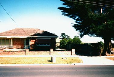 This image shows a low-set brick house with a brick fence and footpath at the front and a street in the foreground.  The house has a tiled roof and a large set of windows on either side of the front door.  A large cypress pine tree is beside the footpath on the right-hand side and part of another house can be seen behind the tree.  