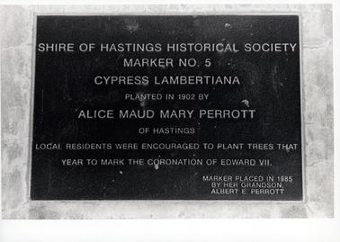 This image shows a metal plaque attached to stone.  The plaque reads: “Shire of Hastings Historical Society Marker No. 5 Cypress Lambertiana planted in 1902 by Alice Maud Mary Perrott of Hastings.  Local residents were encouraged to plant trees that year to mark the coronation of Edward VII.  Marker placed in 1985 by her grandson Albert E. Perrott”.