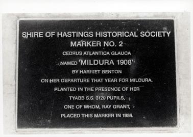 This image shows a metal plaque attached to stone.  The plaque reads: “Shire of Hastings Historical Society Marker No. 2 Cedrus Atlantica Glauca named “MILDURA 1908’ by Harriet Benton on her departure that year for Mildura.  Planted in the presence of her Tyabb S.S. 3129 pupils, one of whom, Ray Grant, placed this marker in 1984.”
