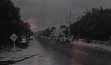 Rose series postcard of Nepean Highway, Tootgarook