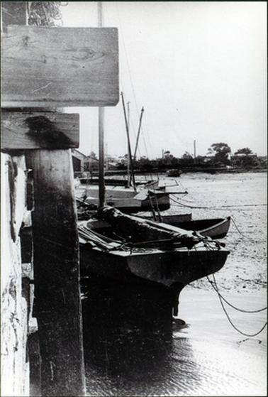 This image shows several small fishing boats standing beside a jetty.  Part of the wooden structure of the jetty can be seen in the foreground on the far left-hand side.  Land, trees and buildings can be seen in the background.  