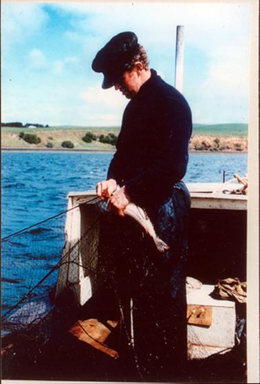 These two images show a man standing in a boat, taking a fish out of a net and bending over a large box of fish.  He is dressed in a dark blue jumper, pants and a cap.  A tall chimney is standing on a strip of land behind the man.  