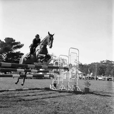 A horse and rider jumping over a hurdle