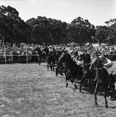 Horses and Jockeys lined up for the start of a race.