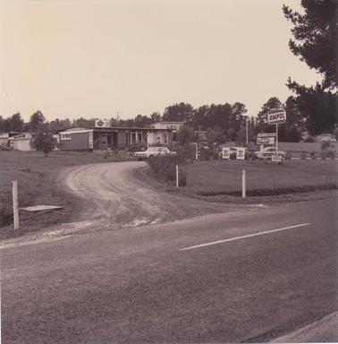 On frankston Flinders Road a house like building with commercial signage ‘Chicken Bar’, ‘Eggs’.  Ornamental shrubs (some roses) in front of the house.  At a drive through’Petrol bowsers with ’Ampol’,  ‘Peters Ice Cream’  ‘Take it From Here’ and other signage. and other signage
