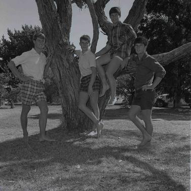 Fout teenage boys posing for the photograph around the branches of a tree.