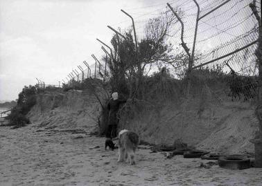 Beach erosion has undermined a chain mesh fence.  A woman looks on, her dogs are nearby.