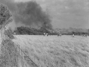 Four small groups of onlookers and one cyclist in a field of tall dry grass watching a fire burning in a strip of bush.