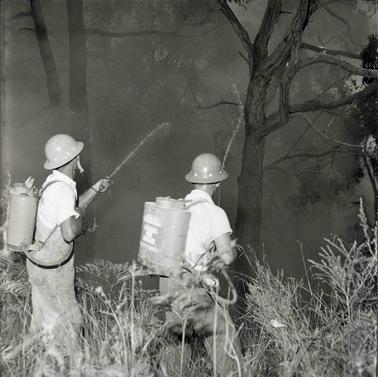 Two men with fire fighting equipment in smoking bushlano date.